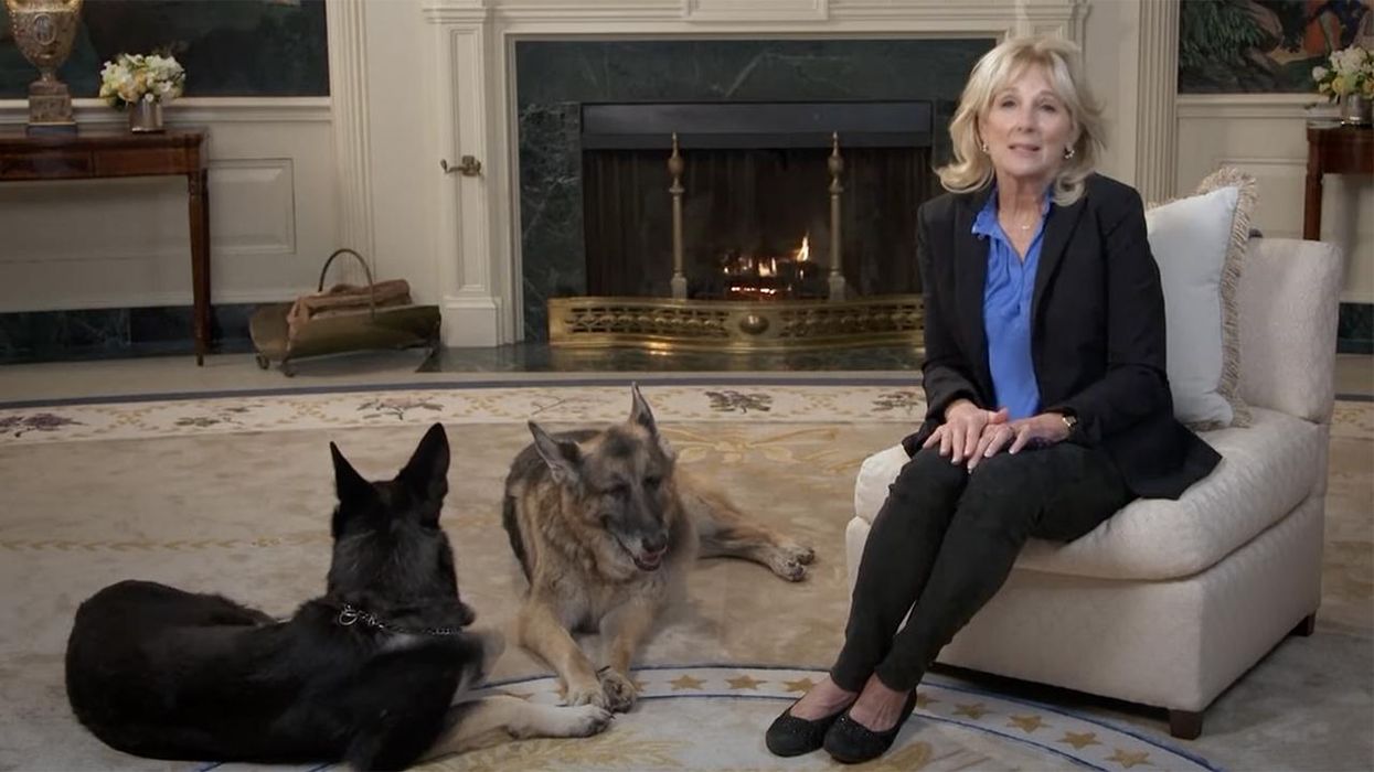 Jill Biden's SuperBowl Ad Uses Your Dogs to Guilt You About Wearing Masks