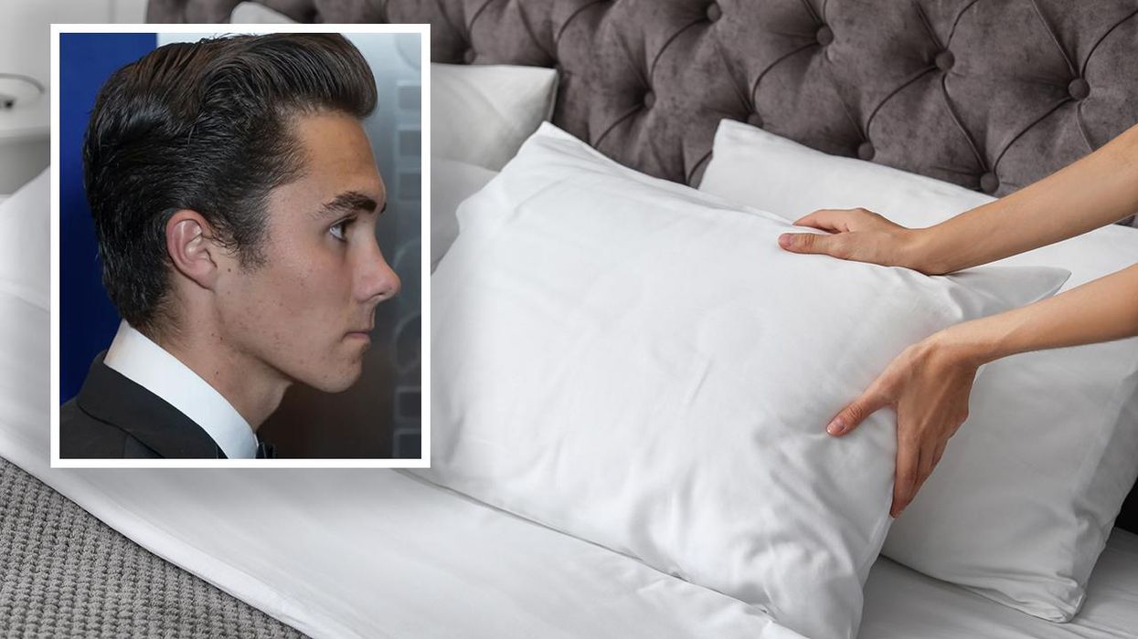 David Hogg Pillow Update: The Pillow Has a Name. Yes, It's Stupid ...