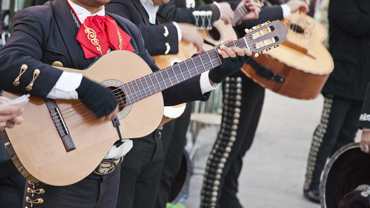 Congressional Candidate Tries to Ride Elephant Across Mexican Border with Mariachi Band (Flashback)