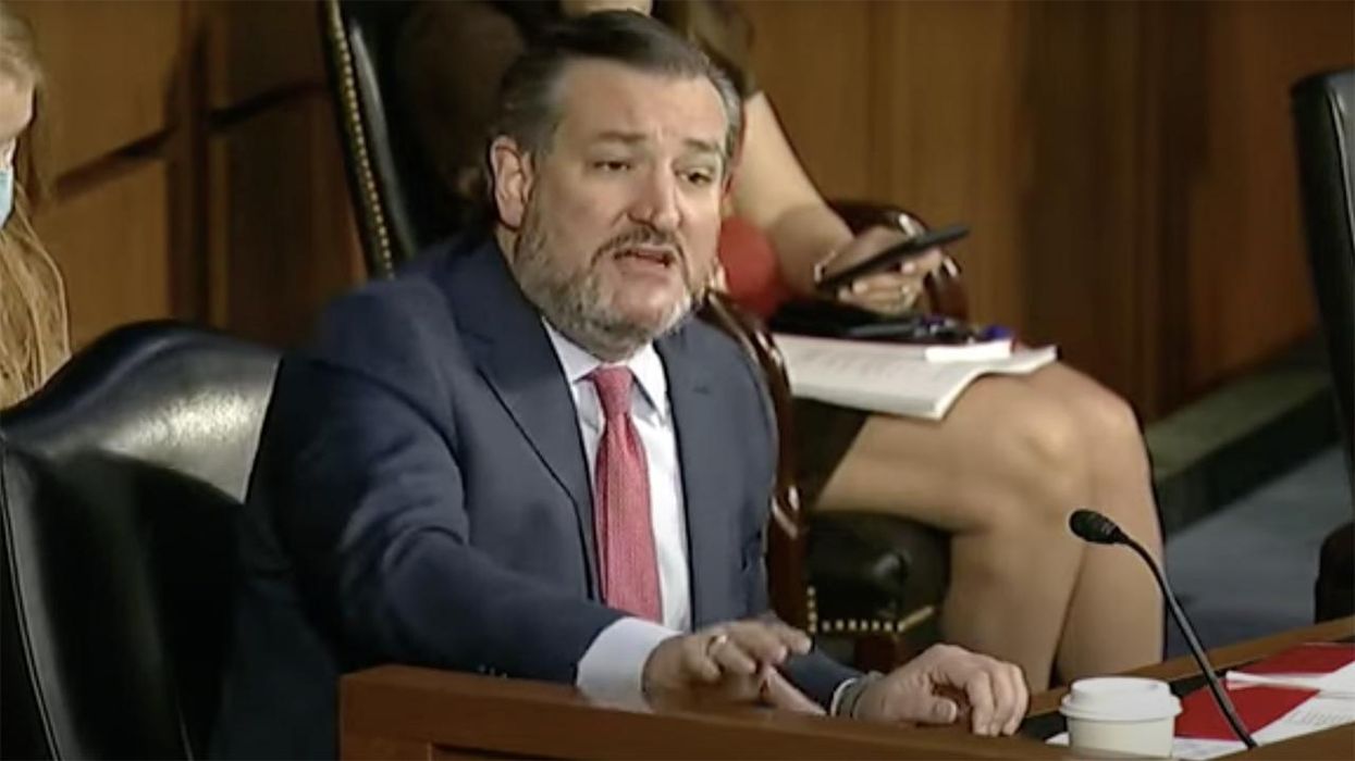 Ted Cruz Disembowels Democrats Over 'Ridiculous Theater' of Gun Control