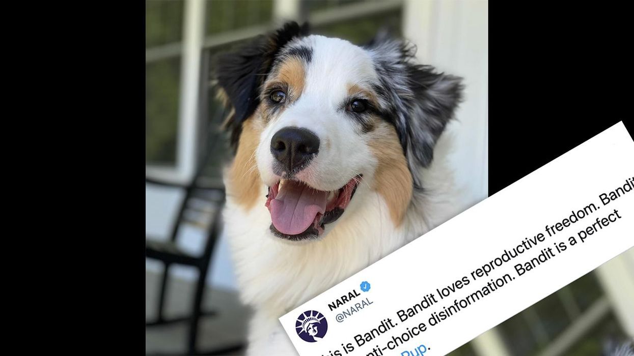 NARAL Claims This Dog Supports Abortion and the Internet Has Thoughts