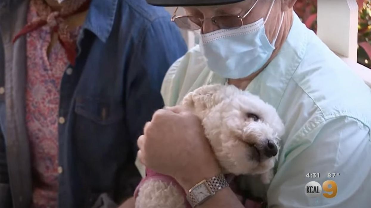 Thug Attempts Home Invasion, Gets Stopped By Old Man's Two Best Friends: His Dog and His Gun