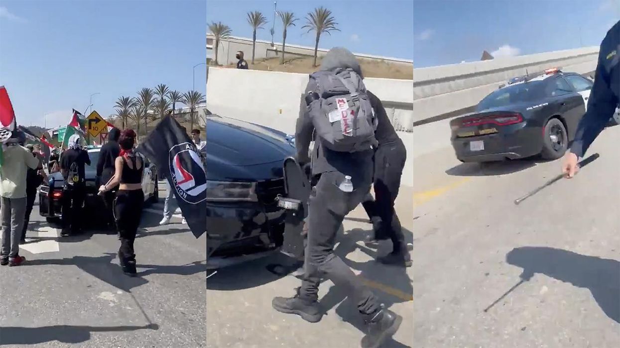 Cop Car Tosses Protesters Blocking the Highway. They Were Warned.