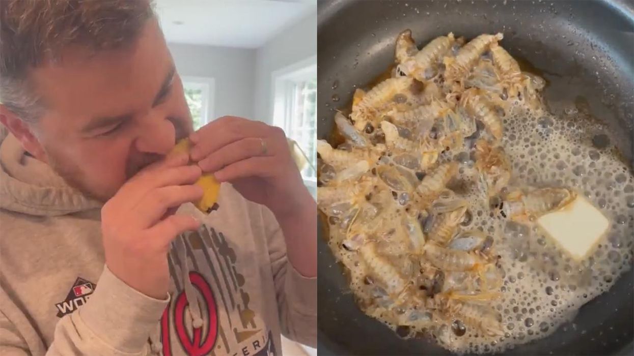 Eat Your Bugs? WaPo Reporter Desecrates All That Is Holy andΒ  Makes Cicada Tacos