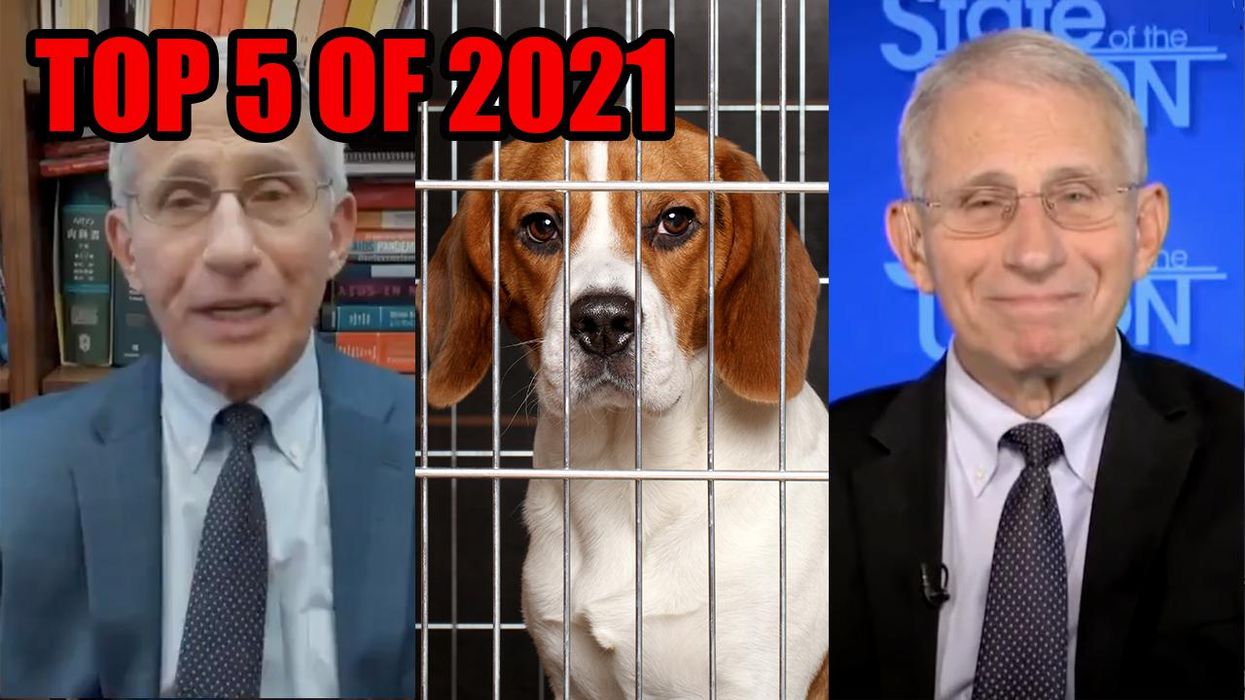 Best of 2021: People Hate Anthony Fauci and Here's Why