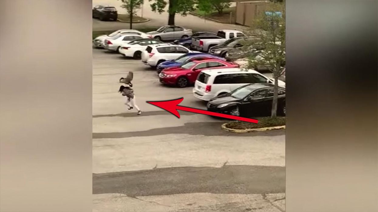 Goose goes beastmode on woman walking from her car as onlookers laugh their butt off: "Lord Jesus, fix it"