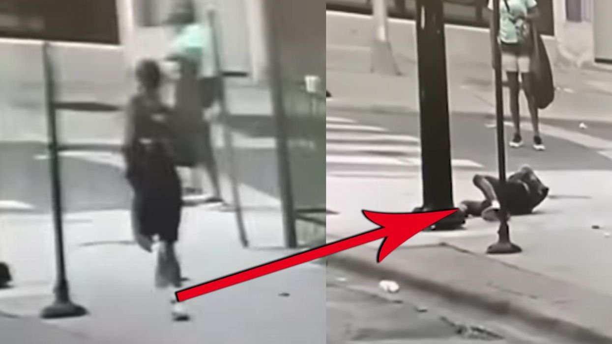 Criminal Almost Gets Away From Police, Until He Gets Knocked Out By an Inanimate Object