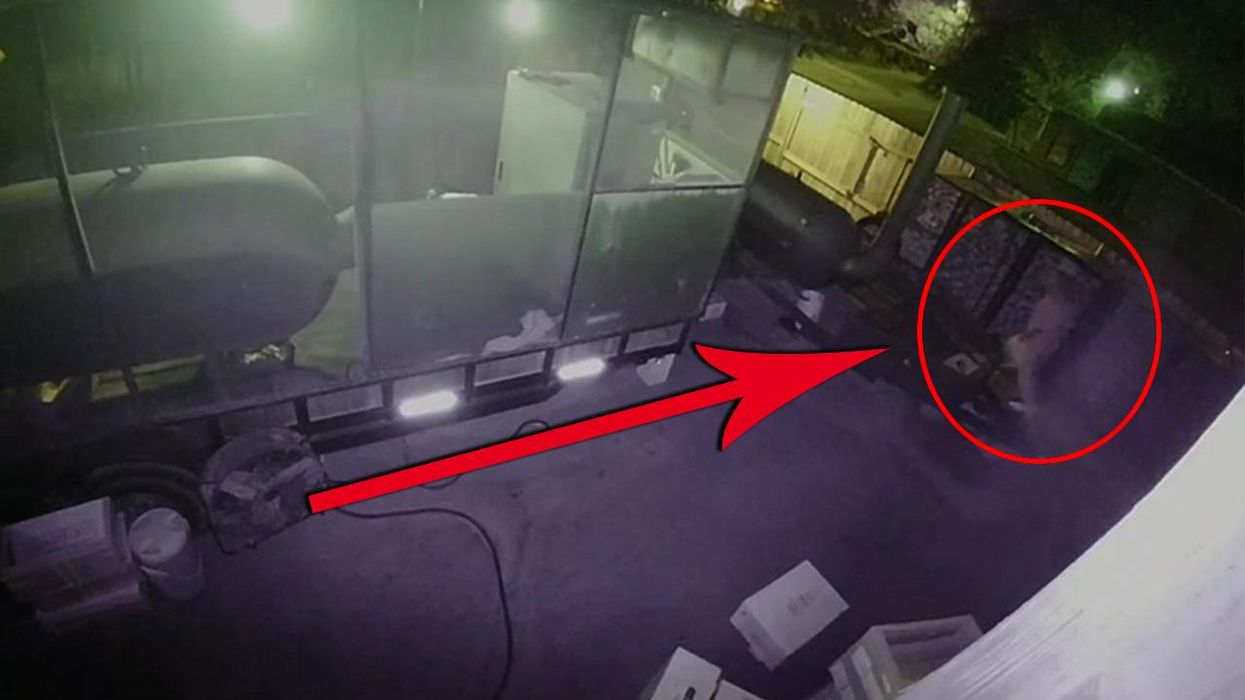 Video captures loser stealing twenty briskets from a BBQ joint, and this should be a capital offense