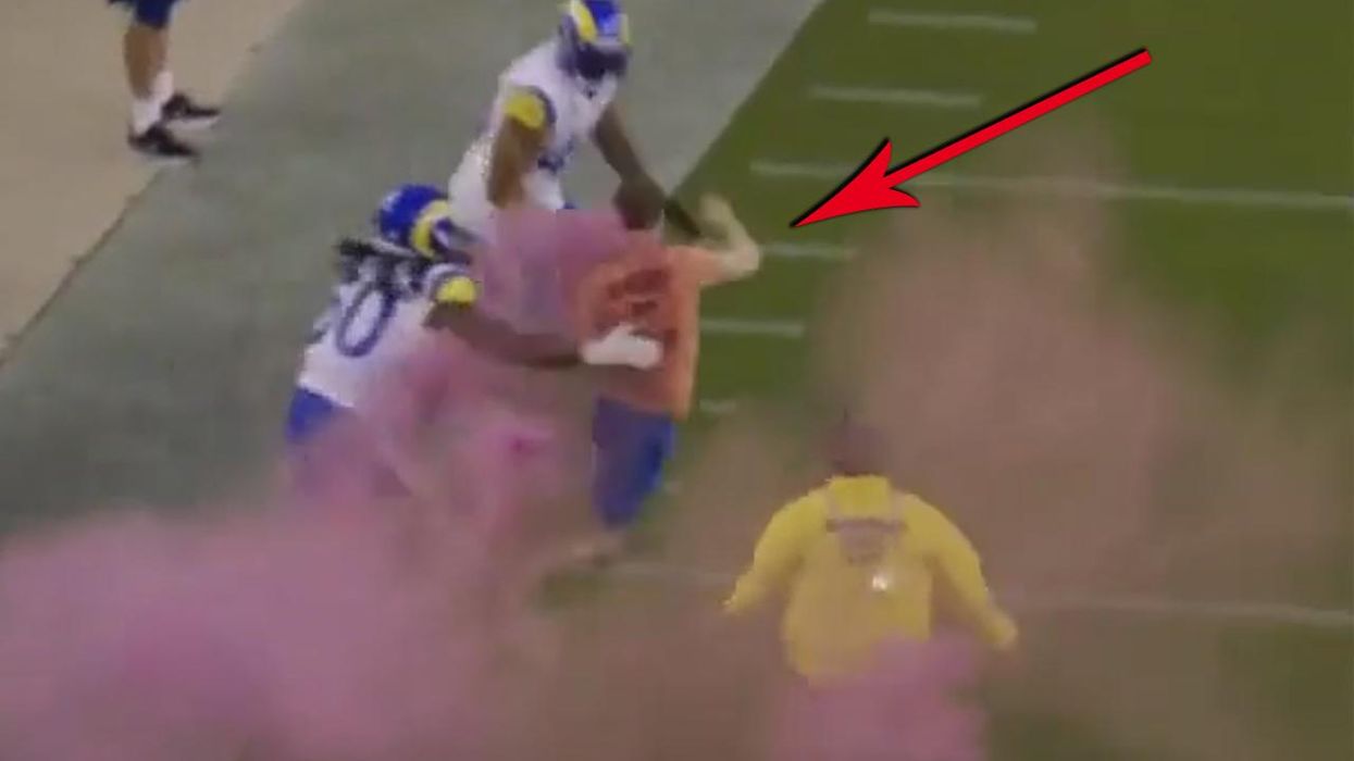 Please enjoy watching an animal rights activist get plowed into the ground by the Los Angeles Rams
