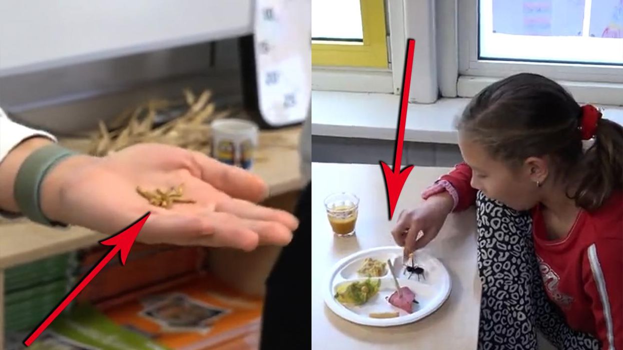 Watch: School starts serving bugs to middle school students to help jumpstart 'behavioral changes'
