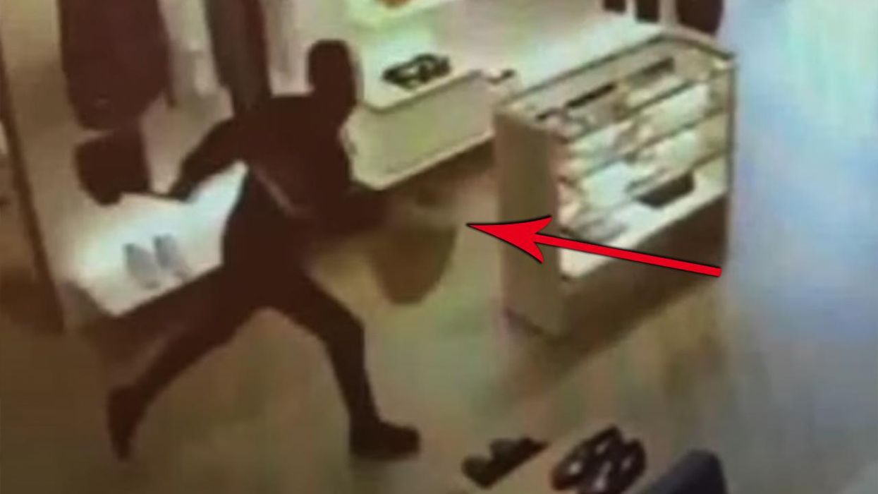 Watch: Louis Vuitton thief confuses window for a door, knocks himself out stealing $18000 worth of handbags