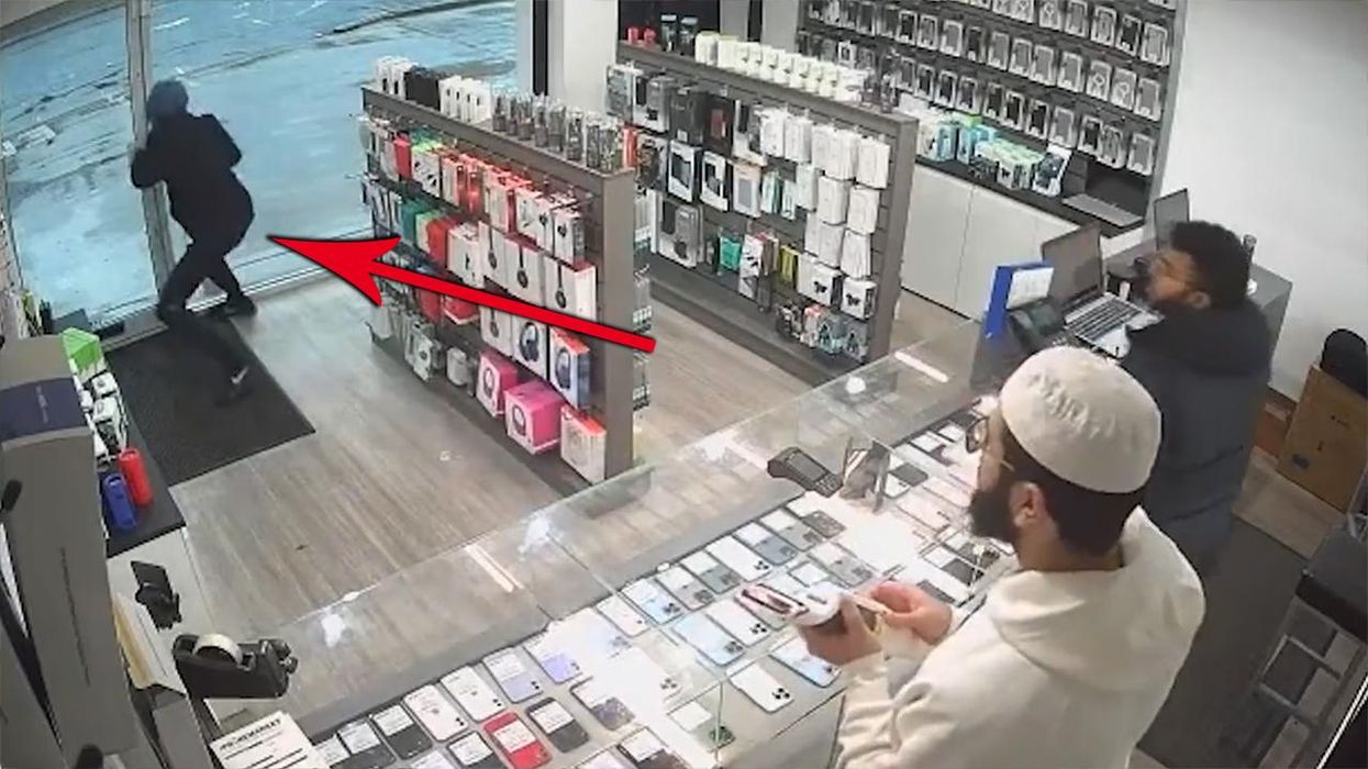 Watch: Unlucky hooligan tries to steal smartphone, discovers what a 'self-locking door' is the hard way