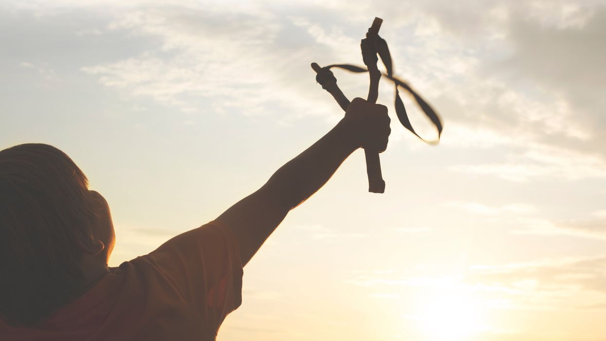 Boy saves his little sister from getting kidnapped armed with only his slingshot