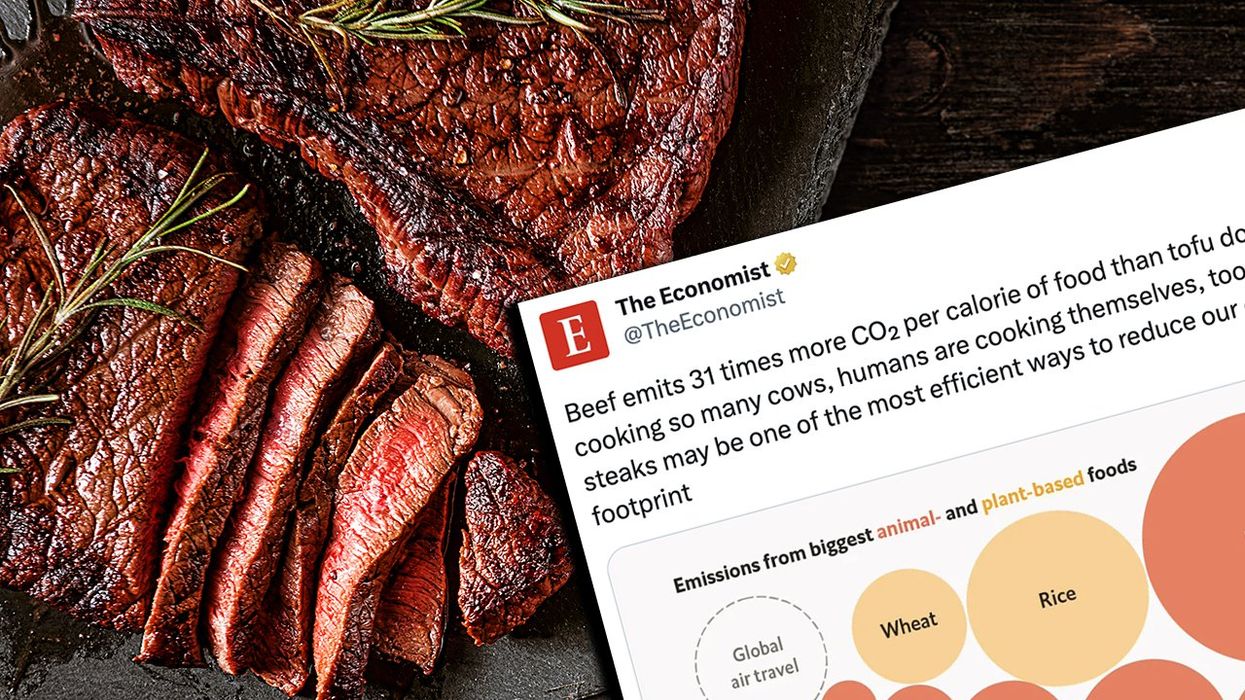 "Did a cow write this?": Left-wing mag demands you eat Tofu instead of delicious steak (for the usual reasons)