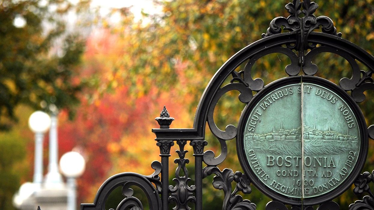 Boston Announces Climate Emergency With Today’s High at a Whopping (check notes) 87 Degrees