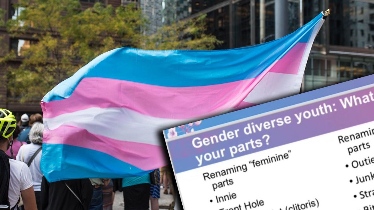 American pediatrician org wants your kids to rename their private parts, somehow "front hole" isn't most offensive example