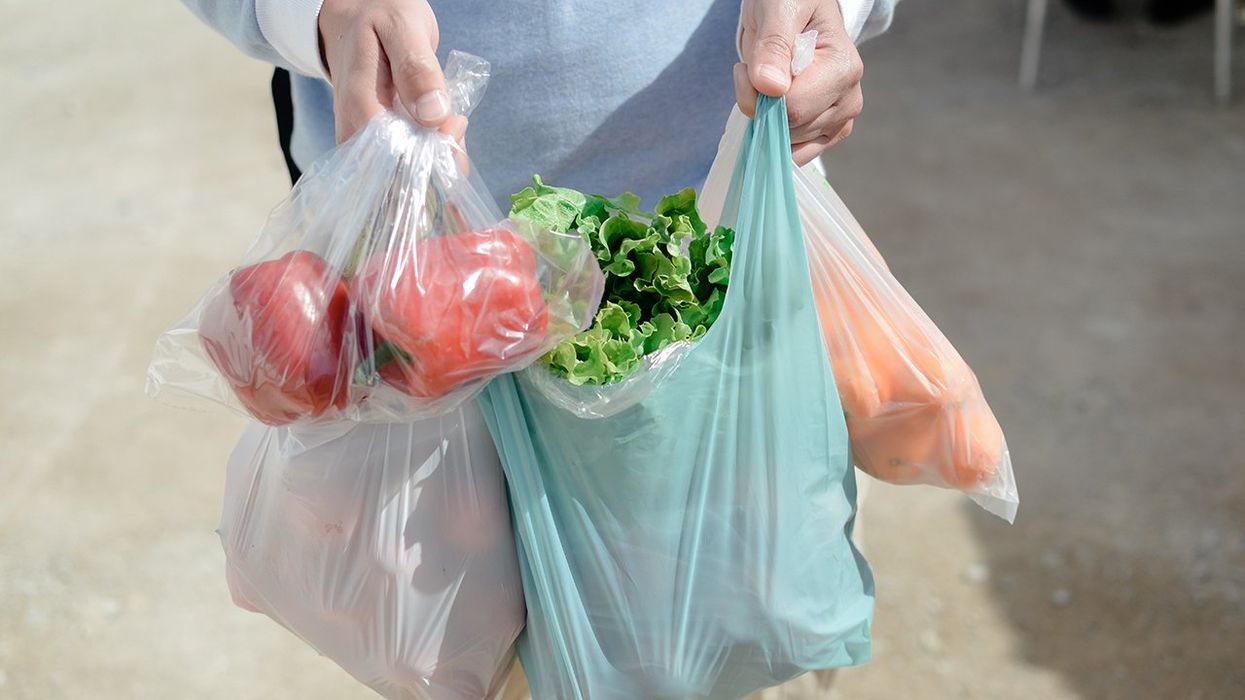 This Blue State Banned Plastic Bags To Save The Earth, Yet Consumption Has Tripled