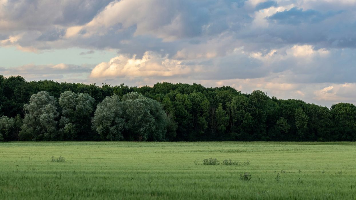 These weirdo progressive climate cultists are now upset the Earth is TOO green: "Often, with dire consequences"