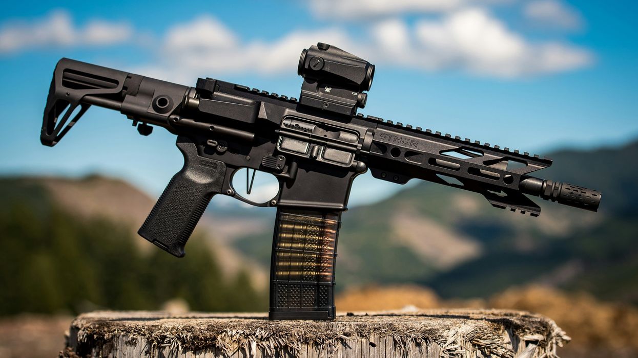 Federal judge to illegals: Yes, of course you can own guns