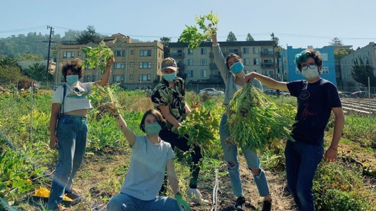 UC Berkeley Bans White People From Its Community Farm