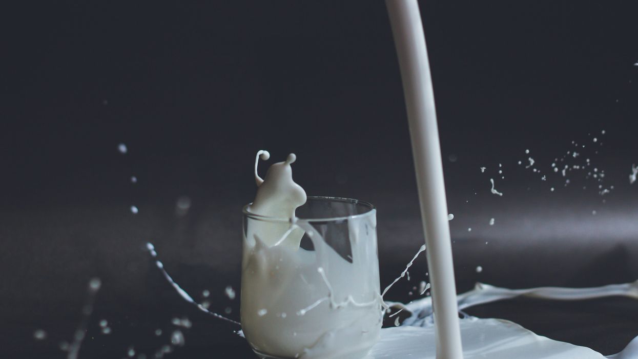 "Experts" are now using tax dollars to determine if milk - yes, milk - is raaaaaacist