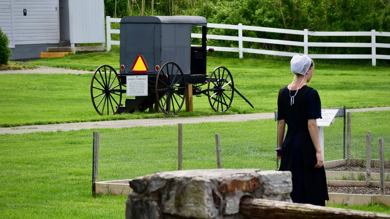 The Amish Turnout For Trump In This Key Swing State Was “Unprecedented”