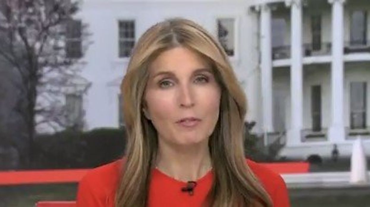 MSNBC stooge Nicolle Wallace is shocked - SHOCKED - Donald Trump is doing exactly what he promised too