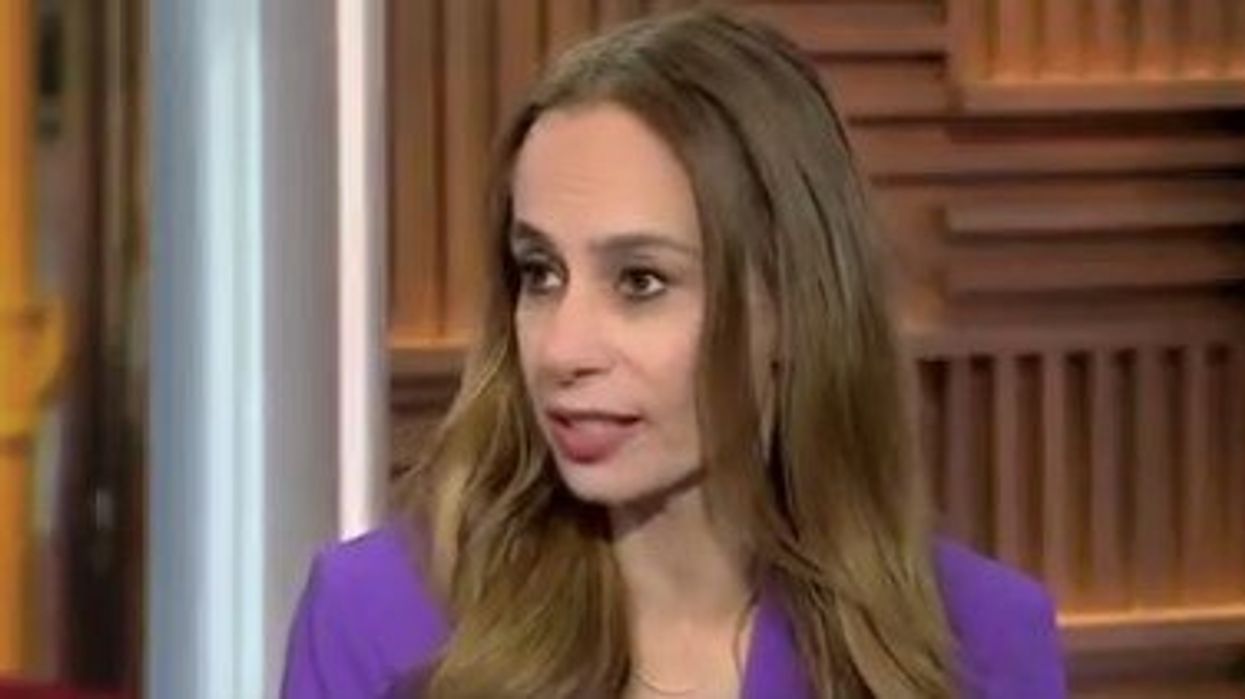 MSNBC Democrat lashes out at Trump supporters, makes insulting claims why they'd never buy a Tesla