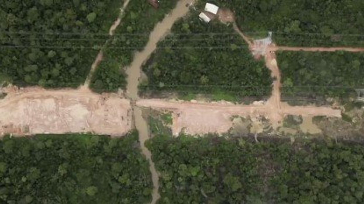 Brazil clears eight miles of rain forest to make room for... a conference on climate change