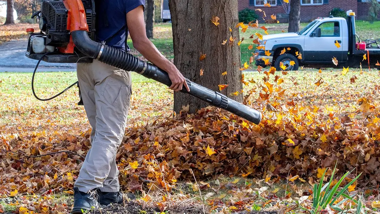 Massachusetts town where America was born turns Anti-American, demands you snitch on neighbors using gas-powered law equipment