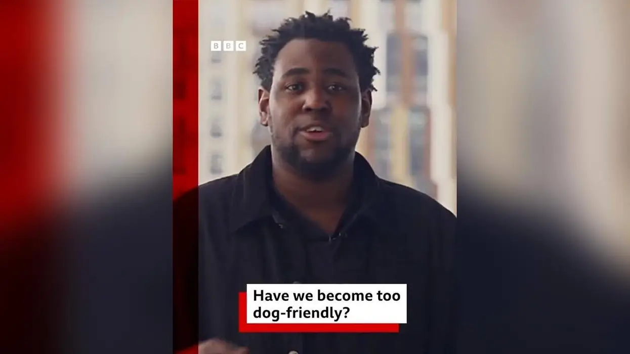 How far has the UK fallen? The BBC is now asking if people are going "a bit too far" loving and owning dogs