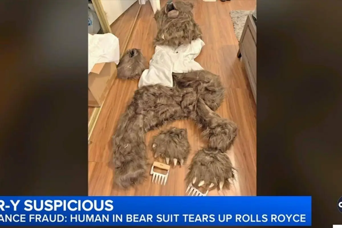 LA residents convicted of insurance fraud, and it somehow involves a bear costume