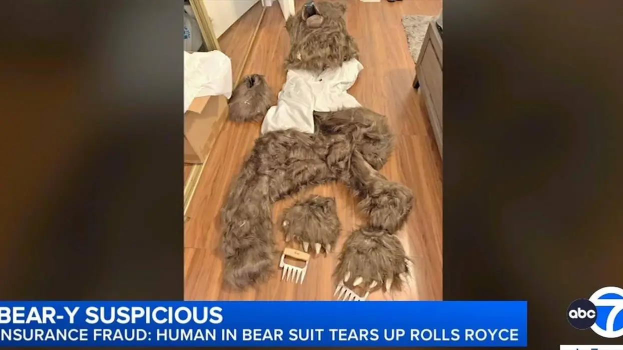 LA residents convicted of insurance fraud, and it somehow involves a bear costume