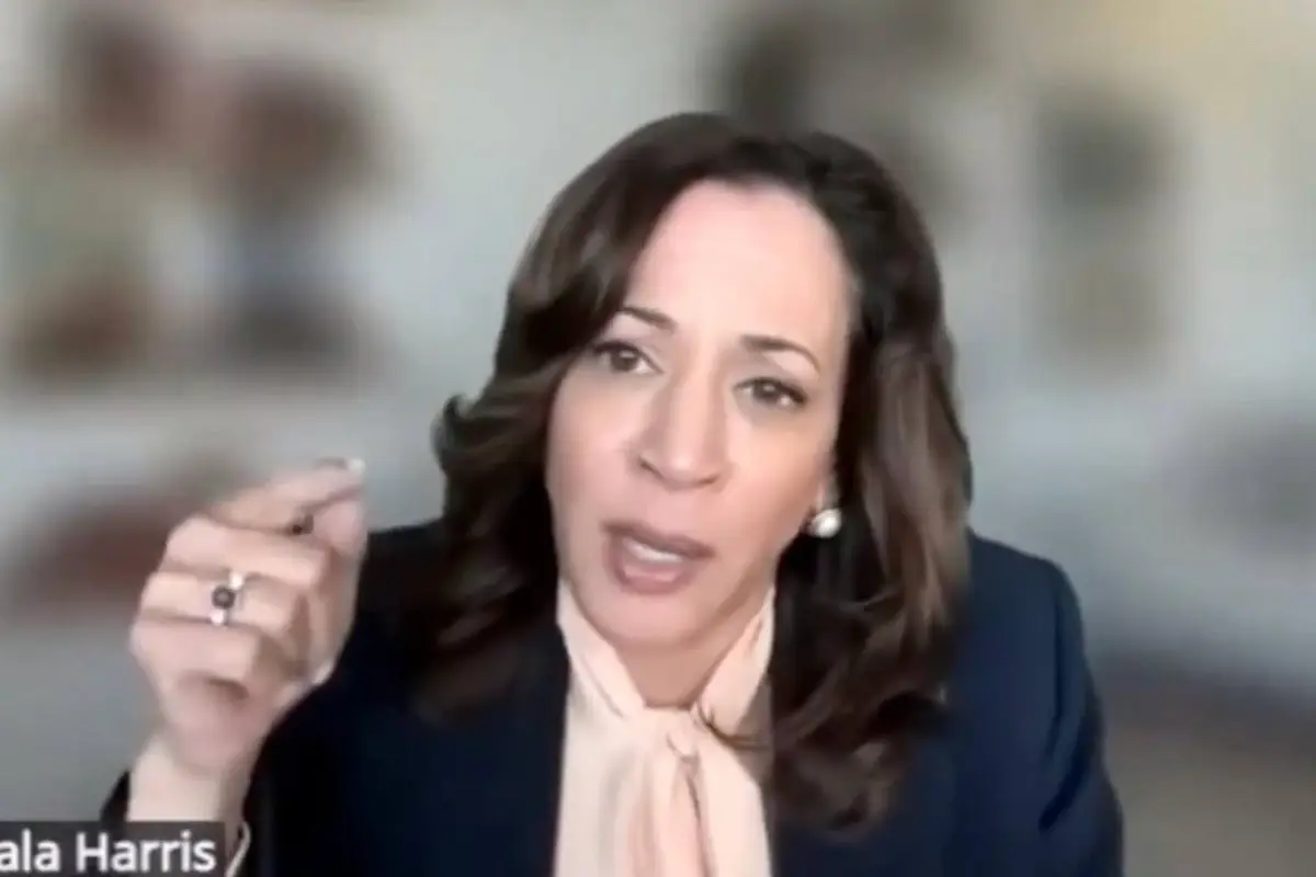 Kamala Harris calls on a democrat "no bad ideas" brainstorm, then lists the WORST possible ideas