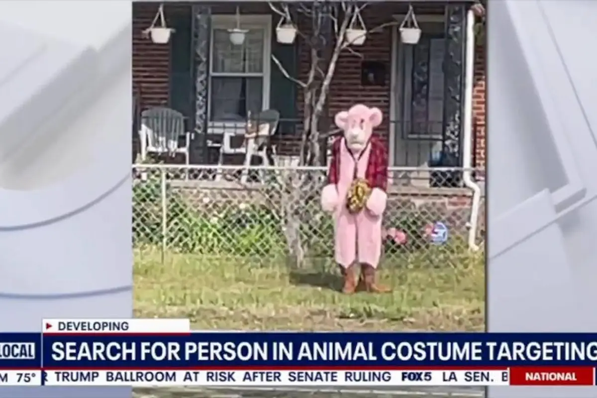 Creep In Pink Panther Costume Chased Several Children In Virginia And Tried To Abduct Them