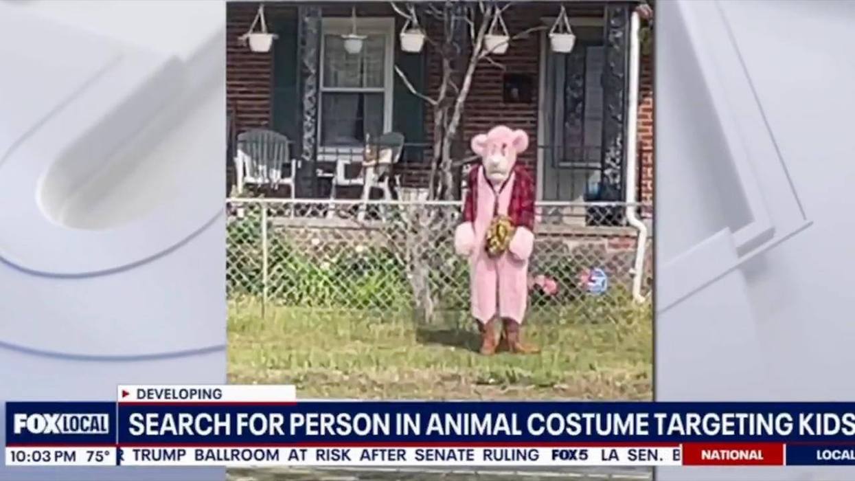 Creep In Pink Panther Costume Chased Several Children In Virginia And Tried To Abduct Them