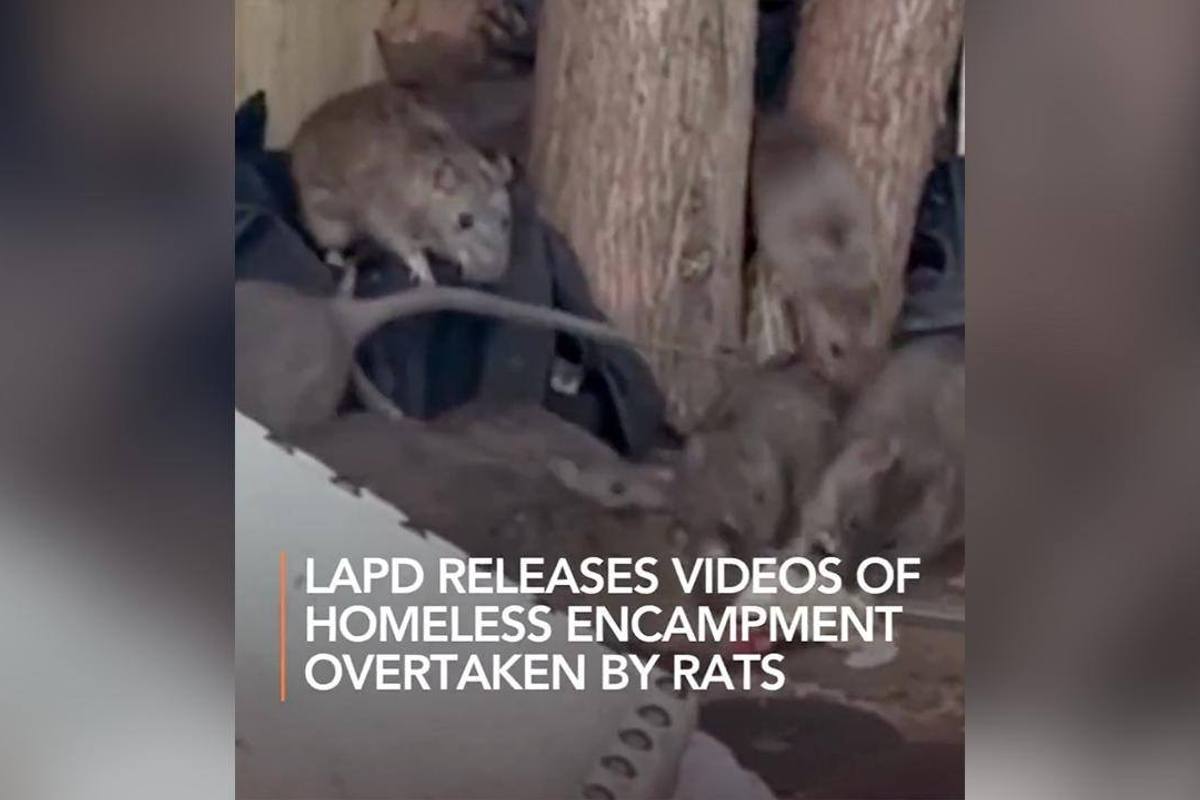 LAPD Releases SHOCKING Rat-Filled Conditions Homeless People Live In