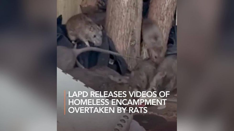 LAPD Releases SHOCKING Rat-Filled Conditions Homeless People Live In