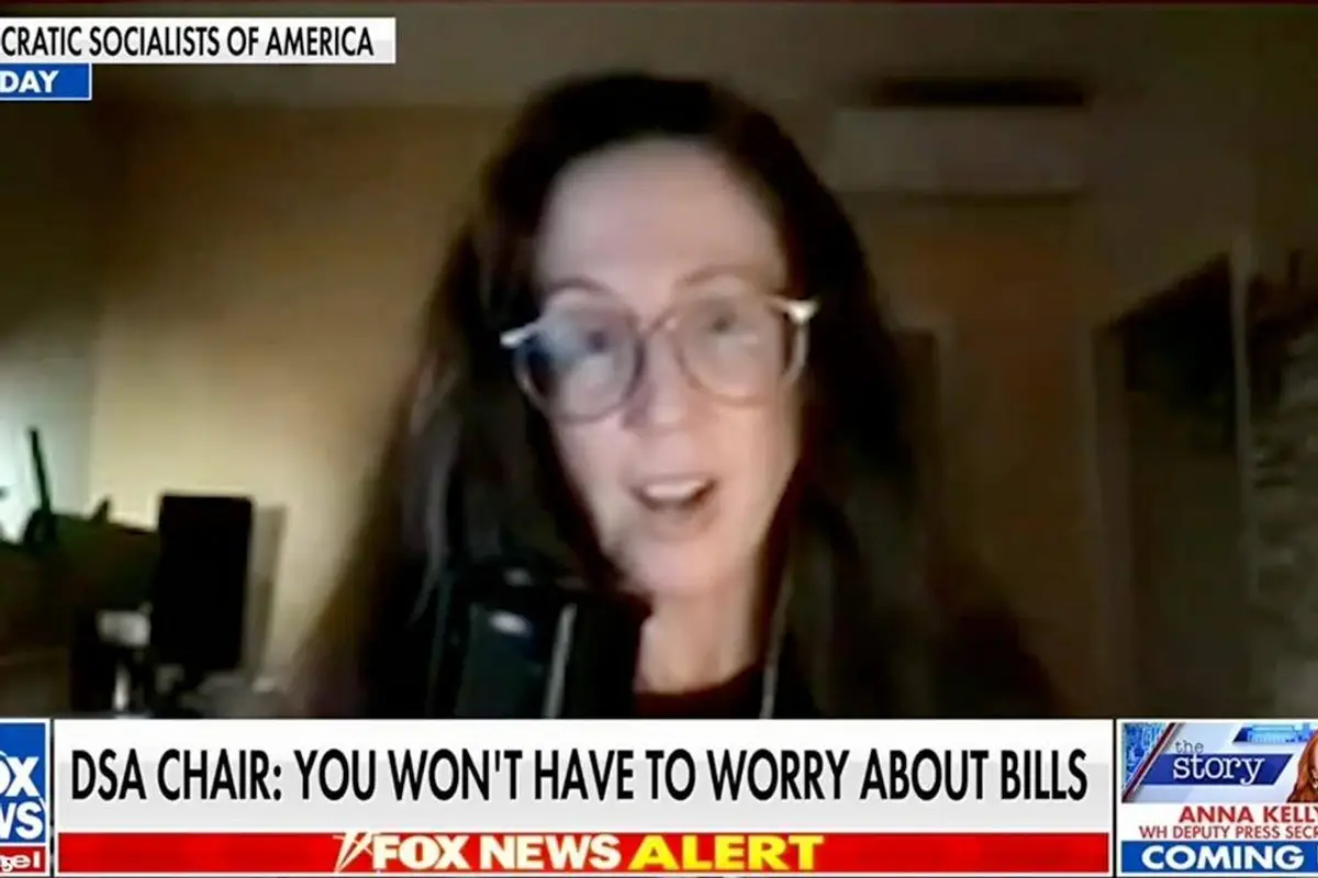 Democrat socialists (aka, the new Democrat Party) announces new platform that declares the end of for-profit companies