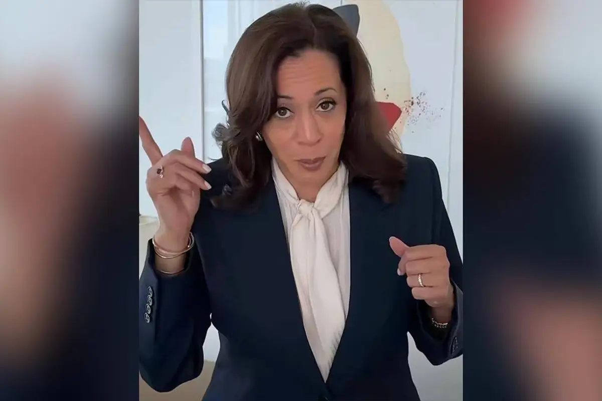 Kamala Harris Complains That Voter ID Requires Voters to... Show ID