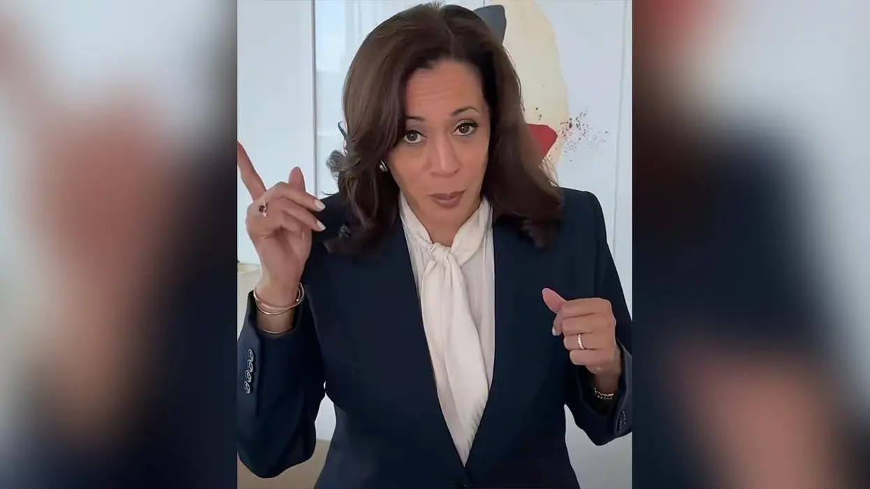 Kamala Harris Complains That Voter ID Requires Voters to... Show ID