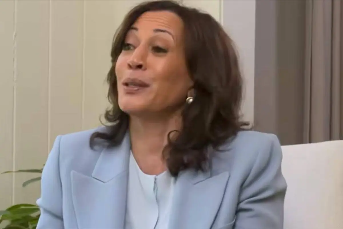 Kamala Harris attempts to explain what an algorithm is with flower metaphor, and as derpy as you think this will be...more