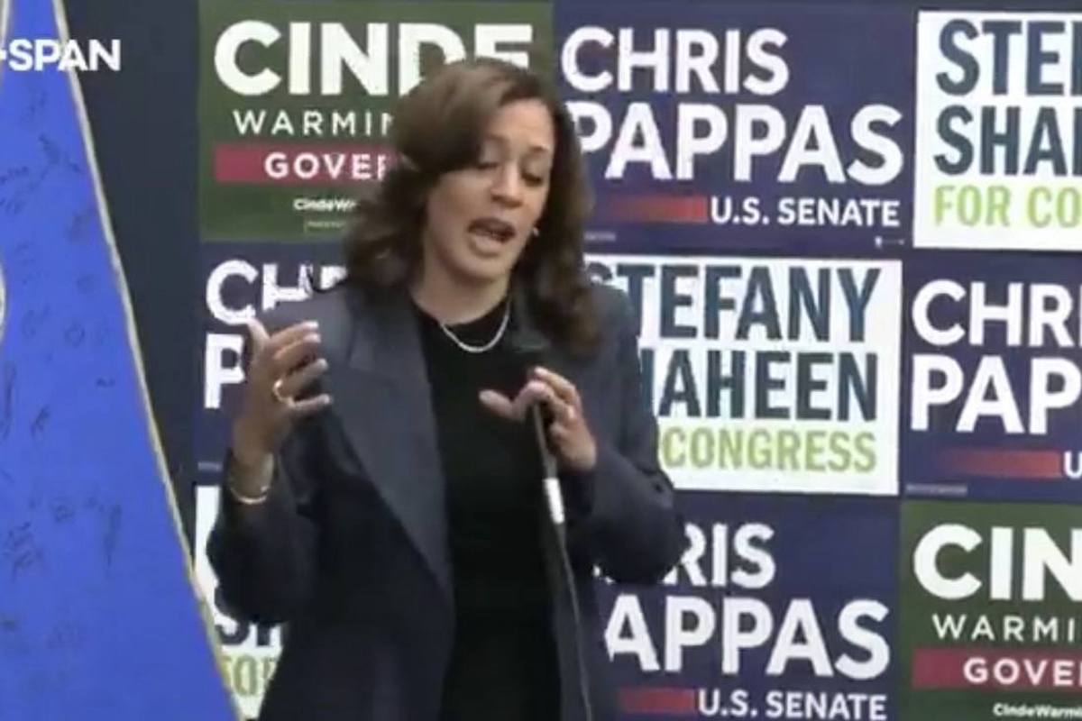 Kamala Harris describes the job of a Senator, and it is more foolish than you think