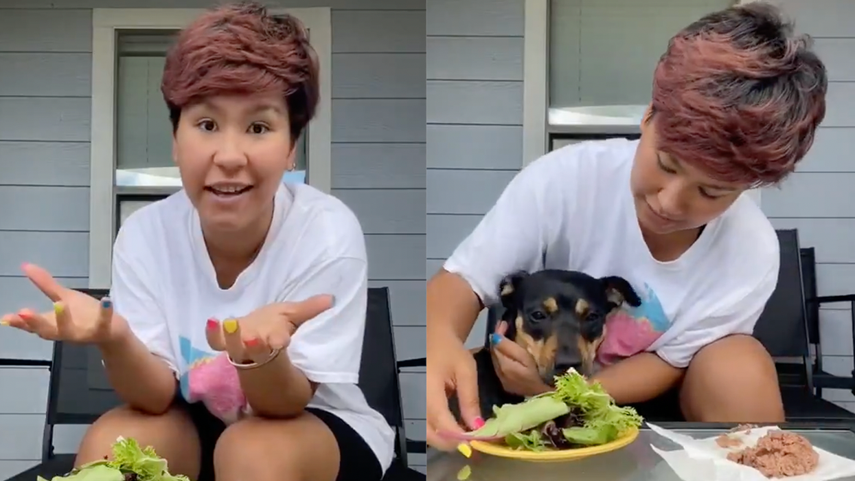 Lady Makes Dog Choose Between Salad and Meat, Gets Embarrassed When Dog Shows Who Has Brains in the Family