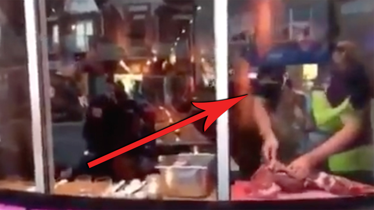 VIDEO: Chef Counter Protests Vegans By Carving Up Deer