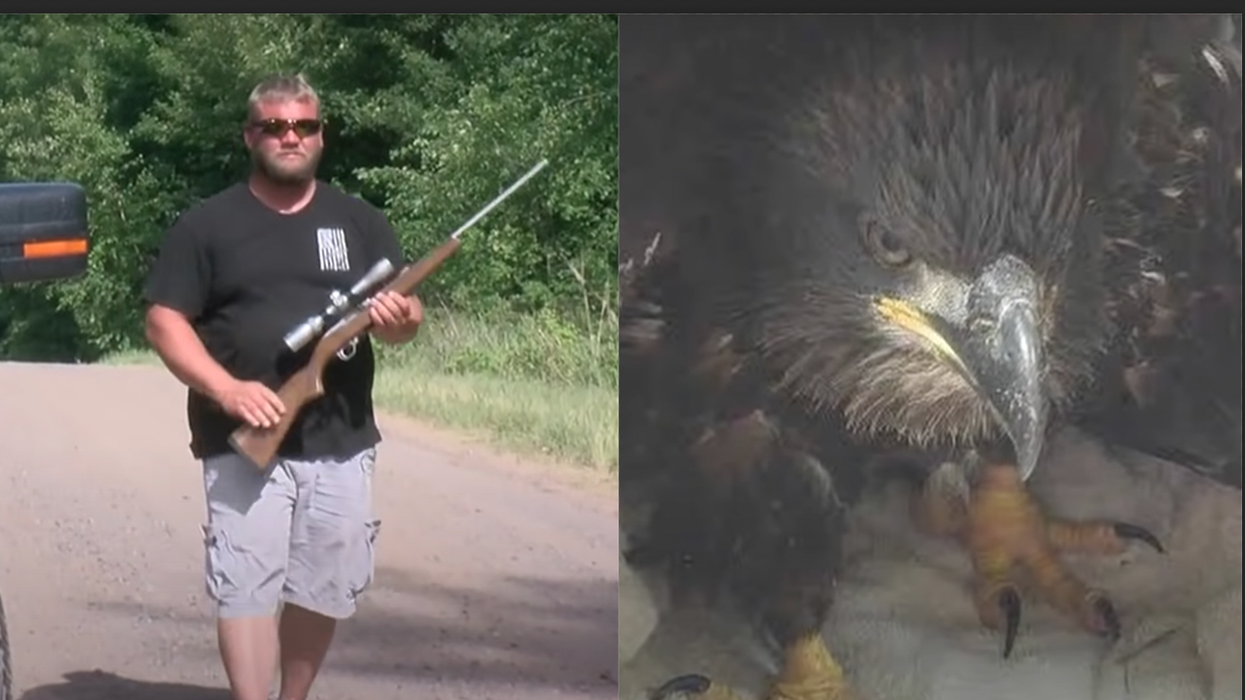 Army Vet Uses Gun to Rescue Trapped Bald Eagle Left for Dead by Authorities