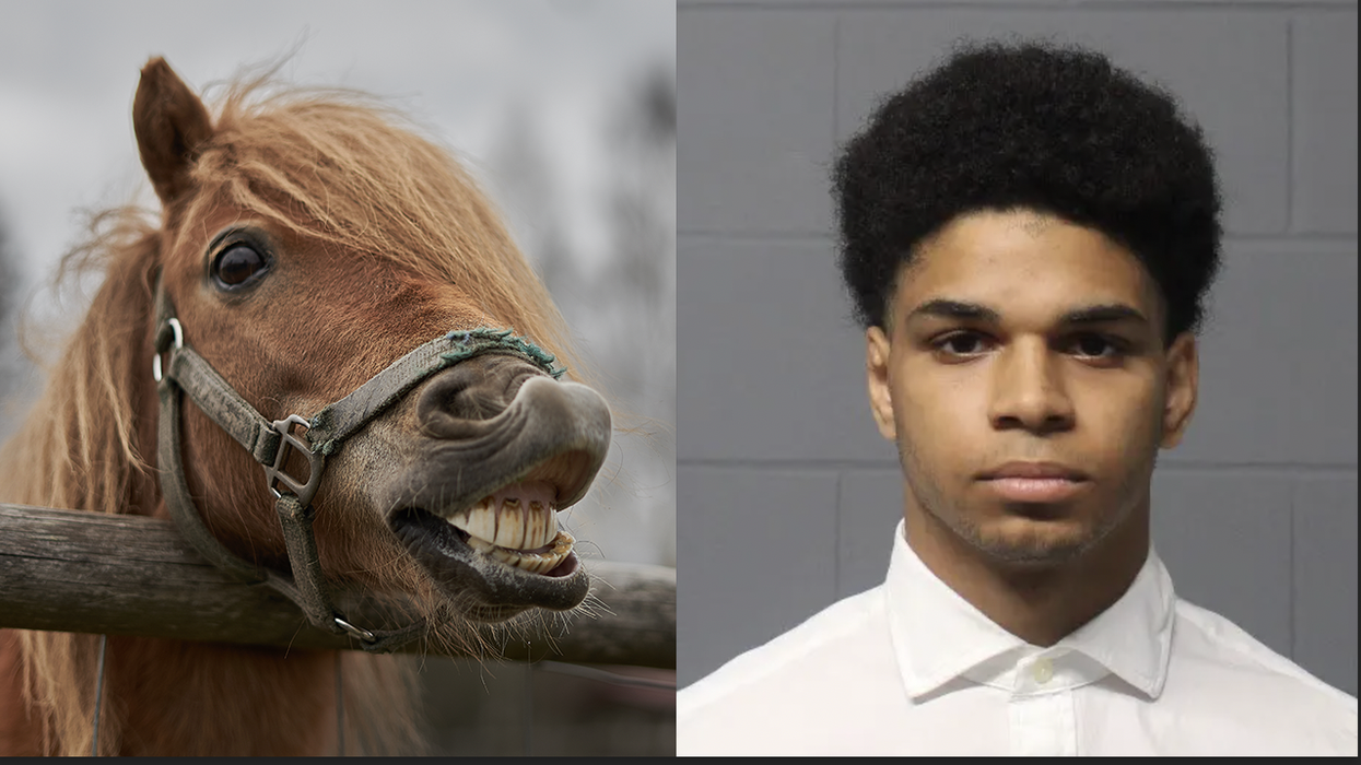 Guy Gets Arrested for Having 'Relations' with a Horse, Yet Judge Releases Him Back Out on the Streets