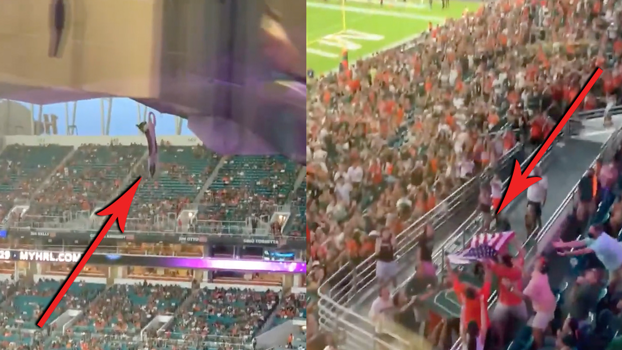 Wild Video Shows Cat Falling Off Rafters of Football Stadium, Gets SAVED by the American Flag