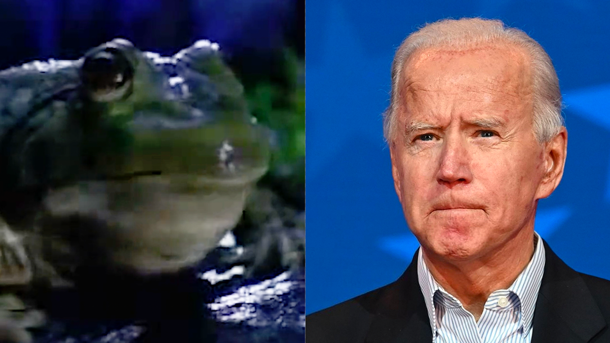 Watch: Hero Turns Classic Budweiser SuperBowl Ad Into 'F*** Joe Biden' Commercial