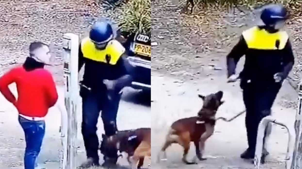 Watch: Police Attempt Using Dogs Against Maskless Citizens, But the Dogs Choose Freedom and Turn on the Cops